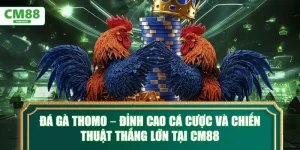 Đá Gà Thomo – Đỉnh cao cá cược và chiến thuật thắng lớn tại CM88